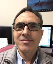 University Professor