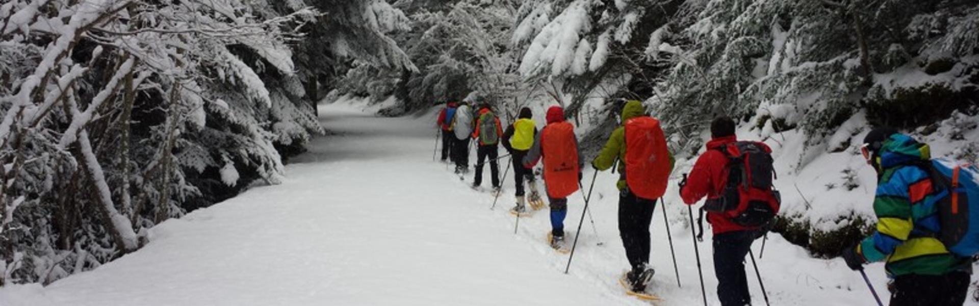 Actividad de Raquetas de nieve con la Universidad de Jaén