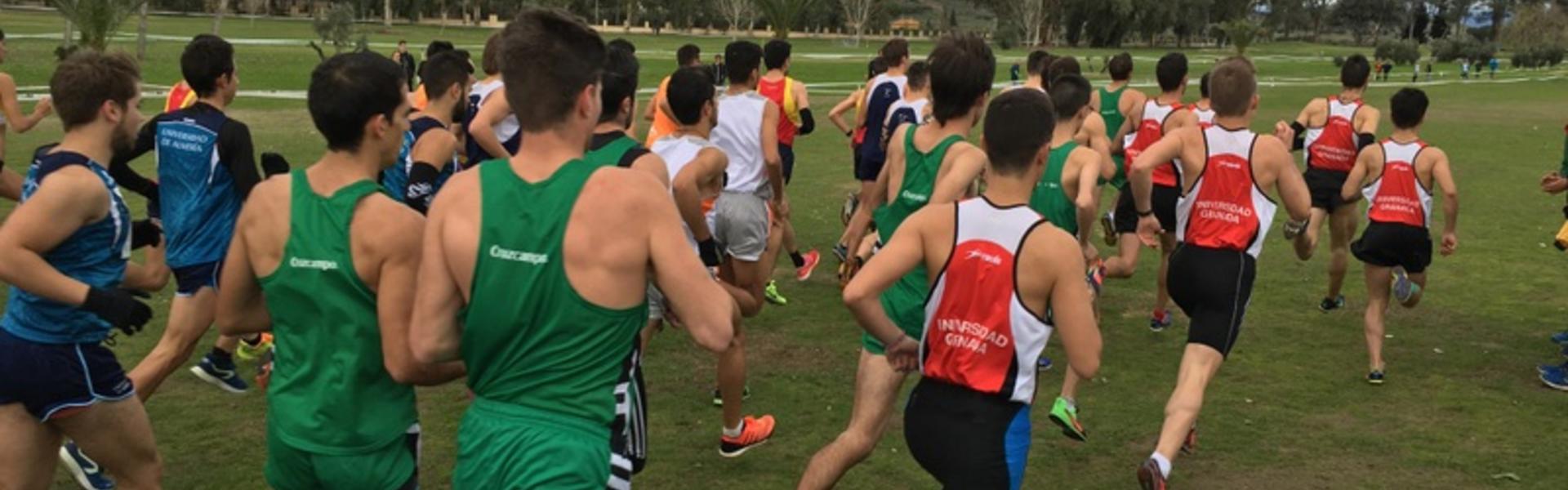 Campeonato de España Universitario de Campo a través