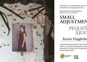 Proyecto Cultural. SMALL ADJUSTMENTS /Pequeños ajustes de Karine Heggholmen