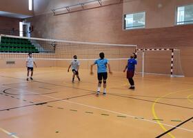 Jugadores de vóley durante un partido