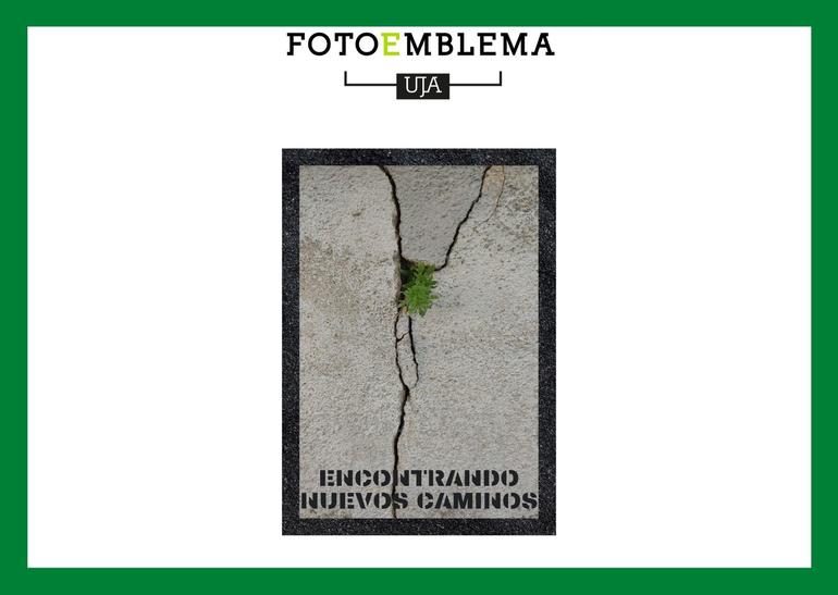 Ganador Fotoemblema I
