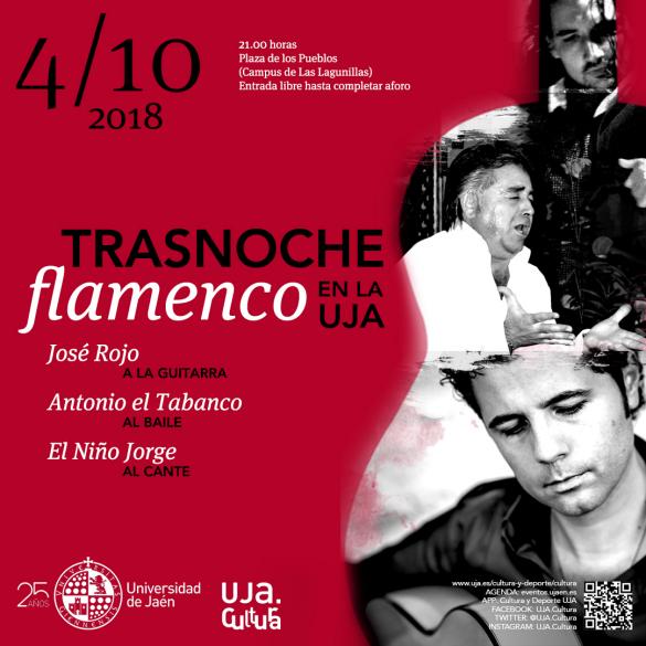 Trasnoche flamenco en la UJA