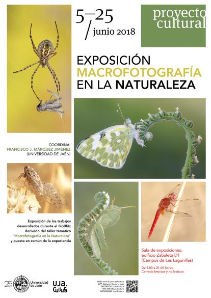 Exposición del taller de macrofotografía en la naturaleza