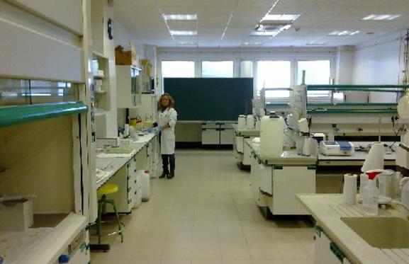 Laboratorio de prácticas