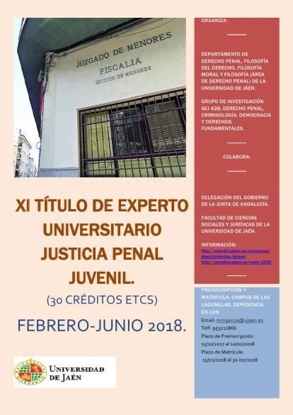 Cartel XI Curso Experto Justicia penal Juvenil