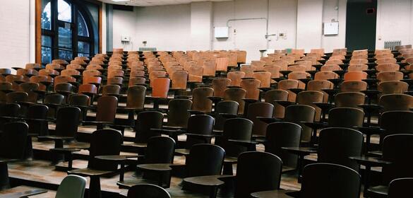 Institutional and national public calls