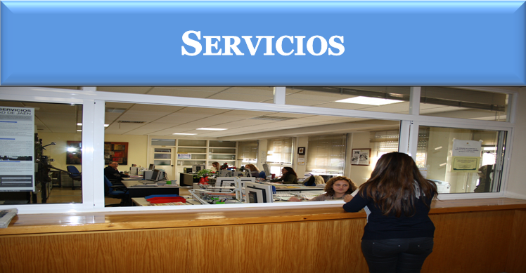 Servicios y unidades