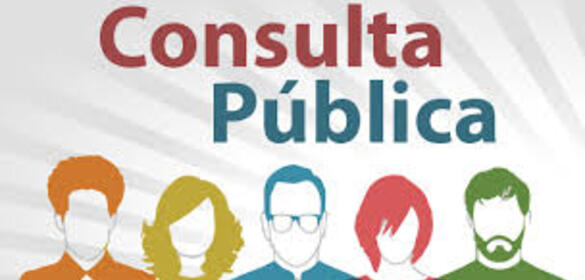 Consulta Pública