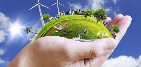 Comisión de elaboración del Plan de Sostenibilidad Ambiental