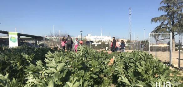 Proyecto Participativo Ecohuerto