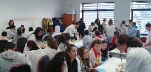 Cursos, jornadas y talleres