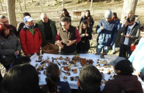 Visita a espacios naturales