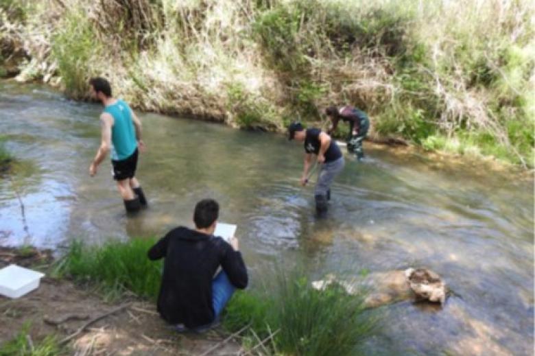 Reforestación Ambiental y Restauración y Mejora de Entornos Naturales