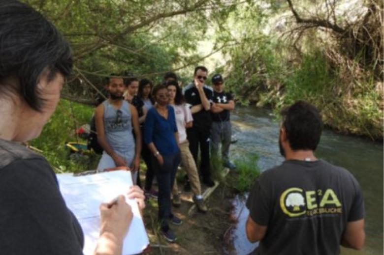 Reforestación Ambiental y Restauración y Mejora de Entornos Naturales