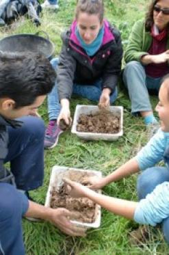 Reforestación Ambiental y Restauración y Mejora de Entornos Naturales