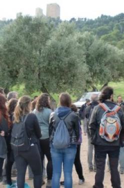 Reforestación Ambiental y Restauración y Mejora de Entornos Naturales