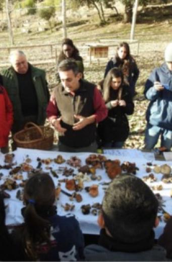 Visita a espacios naturales