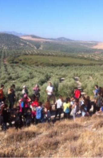 Reforestación Ambiental y Restauración y Mejora de Entornos Naturales