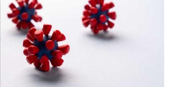 '¿Cómo entra el coronavirus en nuestras células?'