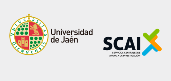 Convivencia de la Marca Universidad de Jaén con subemisores con logotipos propios
