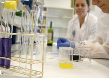 El Consejo de Gobierno de la UJA aprueba el Plan de Apoyo a la Investigación par