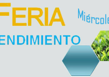 Información sobre la VIII Feria del Emprendimiento