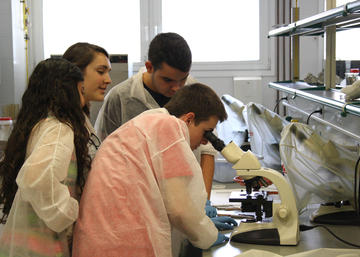 Alumnado participante en un taller.