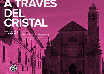 Información sobre Visita guiada "A través del cristal"