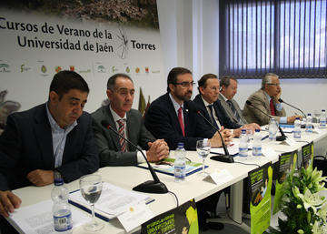 Cursos de Verano de la UJA en Torres