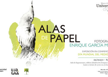 Exposición Ala de Papel