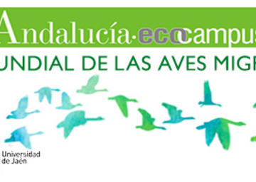 Banner Día Mundial de las Aves Migratorias