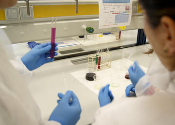 Investigadores en un laboratorio de la UJA.
