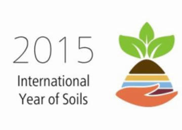 Logo Año Internacional del Suelo