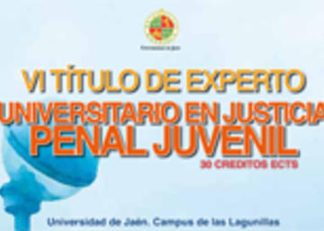 VI Título de Experto Universitario en Justicia Penal Juvenil