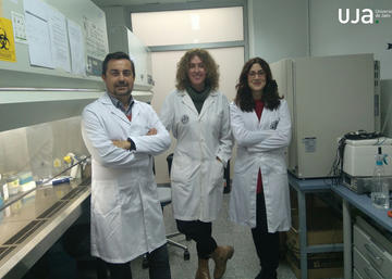 Investigadores de la Universidad de Jaén