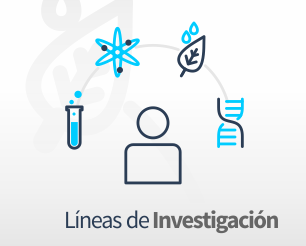 Líneas de investigación