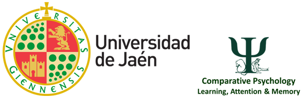 Logo del grupo de investigación