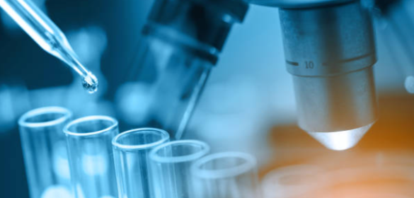 Proyectos de Generación de Conocimiento Plan Estatal de Investigación Científica, Técnica y de Innovación 2021-2023.