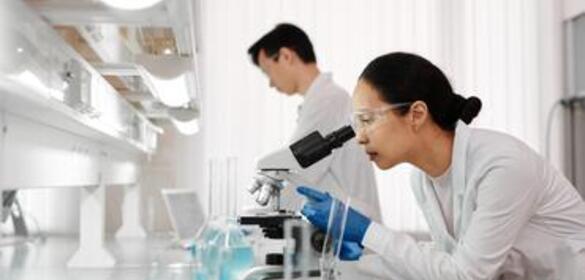 Plan Propio de Investigación y Transferencia del Conocimiento 2025