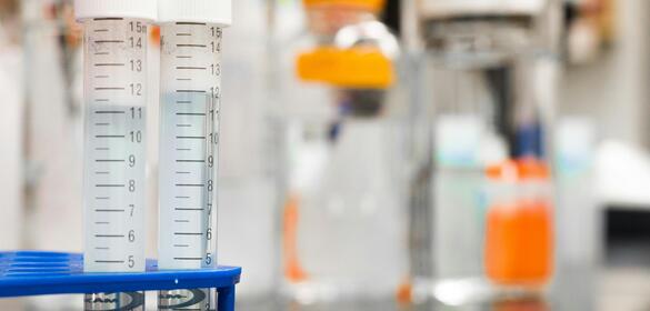 Experimentación Animal (CEEA)