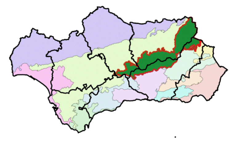 Ambito geografico del OCGSS