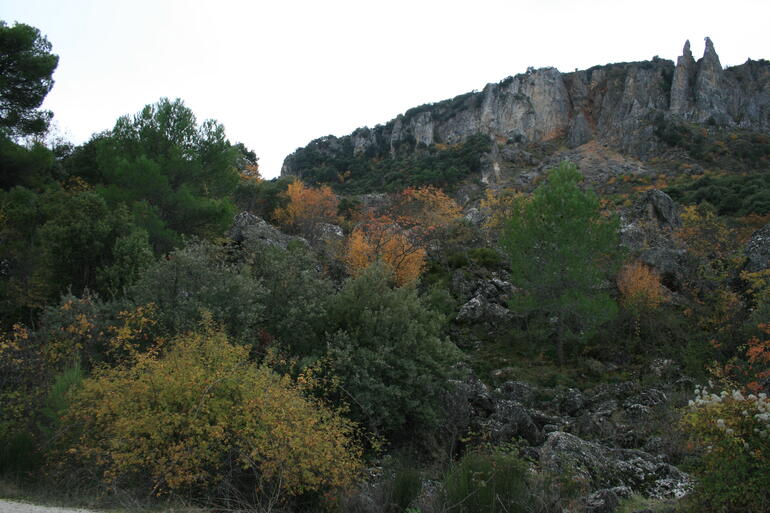 paisaje_1