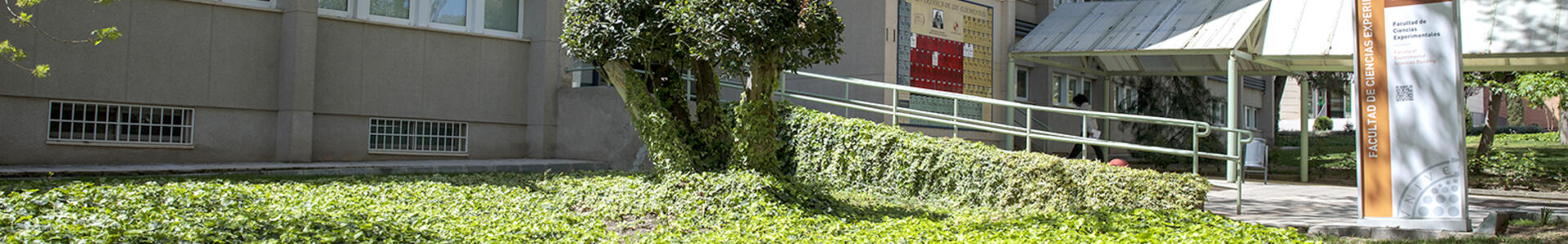 Zona verde en Campus Lagunillas