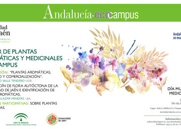 Plantas aromáticas y medicinales