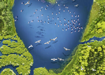 Poster_Ramsar_Dia_mundial_de_los_humedales