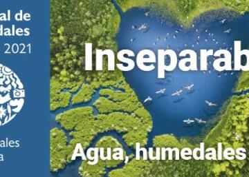 Imagen cartel dia humedales