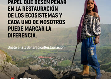 Imagen Cartel Día Mundial Medio Ambiente 