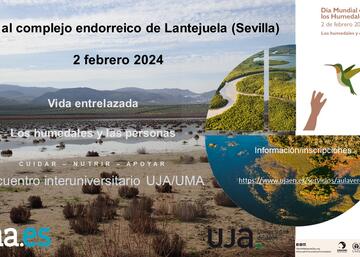 Cartel Visita Lantejuela