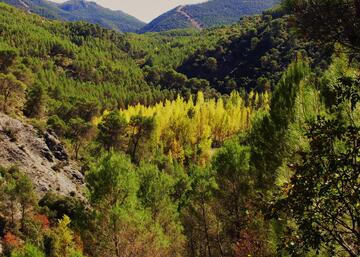 Imagen de la ruta 